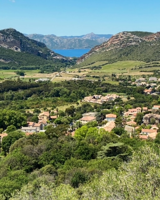 E3A2D393-10F7-4262-BCD8-13CCCE693A47