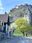 Devin castle, after which an aromatic white grape is named.